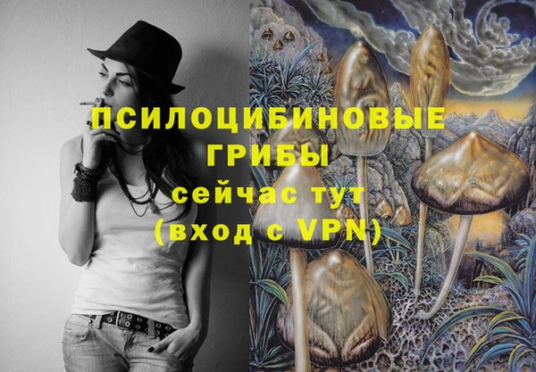 первитин Алексеевка